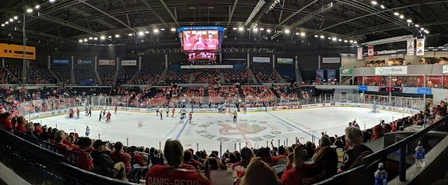 Rockford IceHogs Pro Hockey