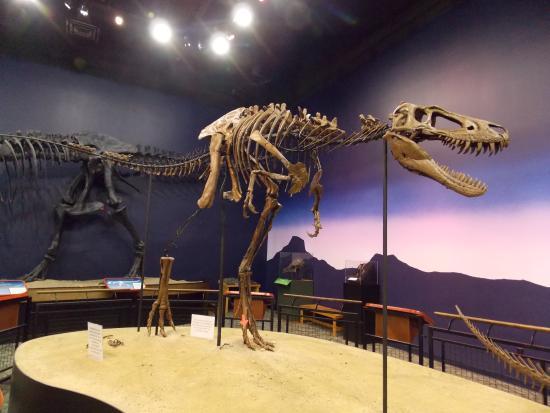 Burpee Museum of Natural History